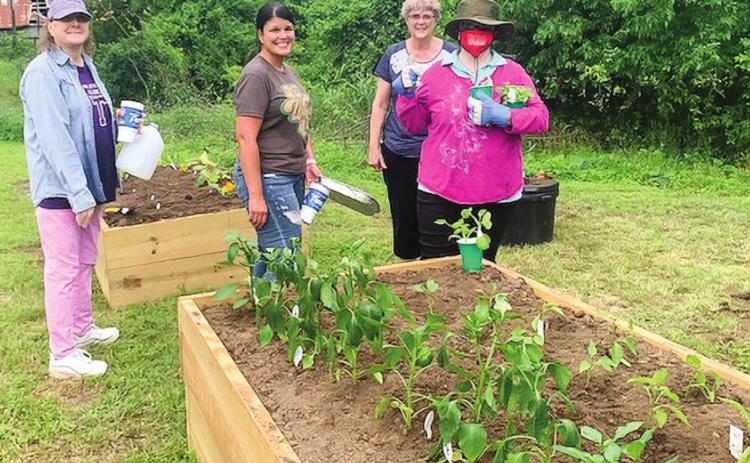 COMMUNITY GARDENS