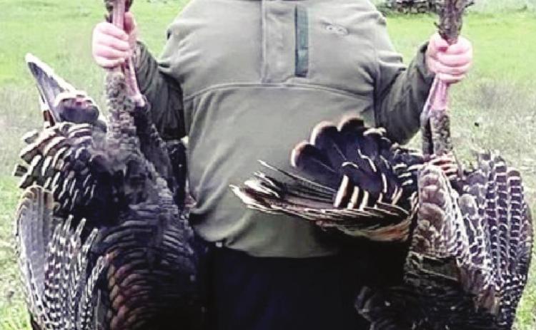 TURKEY TIME