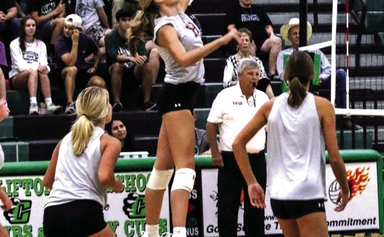 Lady Dog Volleyball sets nets to host tourney