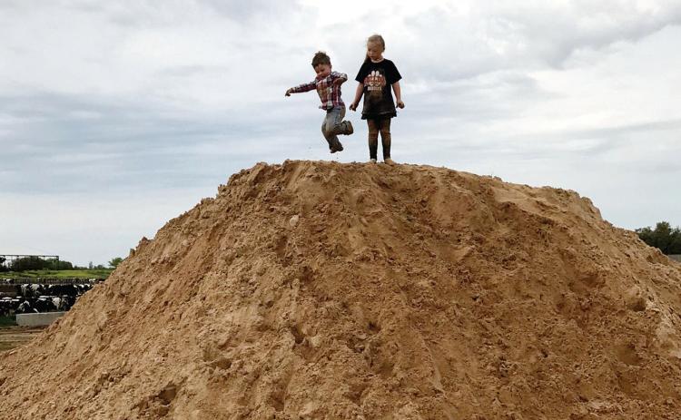 A LITTLE DIRT NEVER HURT